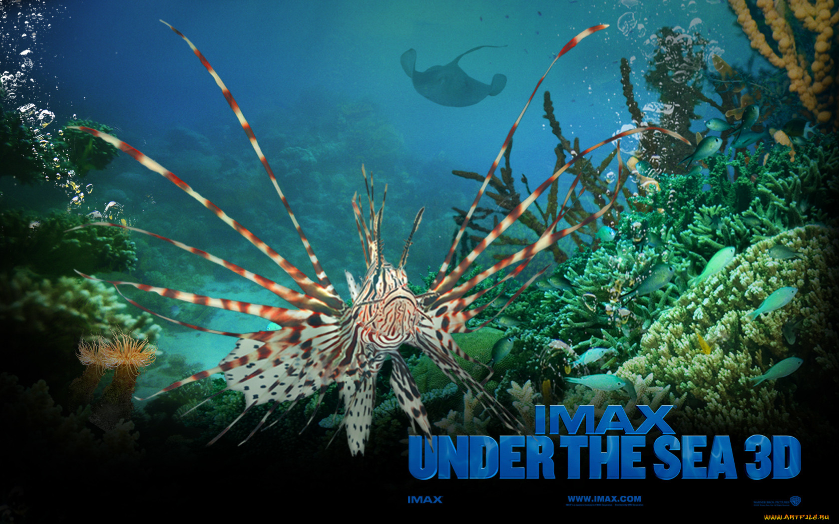 , , under, the, sea, 3d